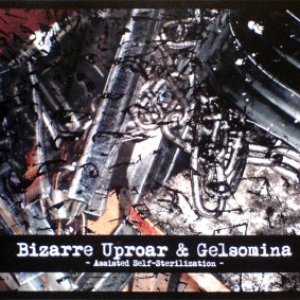 Avatar for Bizarre Uproar & Gelsomina