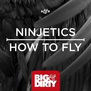 How To Fly