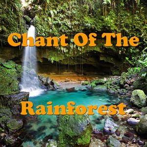 Chant Of The Rainforest