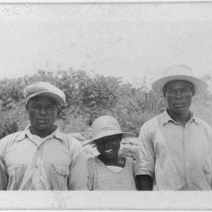 Group of Men from Andros Island 的头像