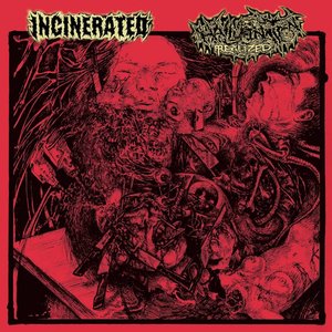 Split w/ Hallucination Realized