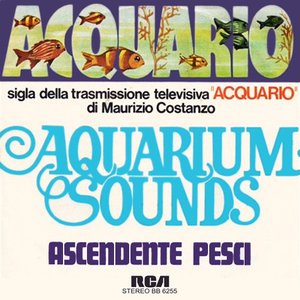 Acquario