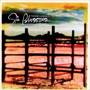 The Best of Gin Blossoms