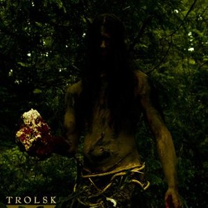 Trolsk 的头像