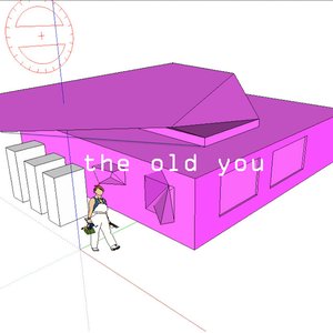 The Old You