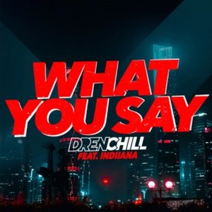 What You Say (feat. Indiiana)