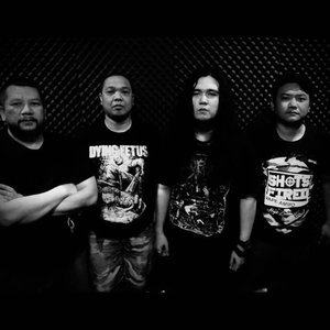 Merge For The Kill 的头像
