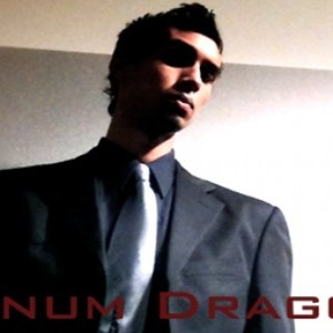 Platinum Dragon17 的头像