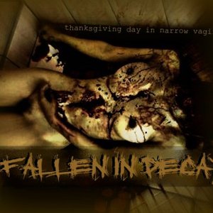 Fallen In Decay 的头像