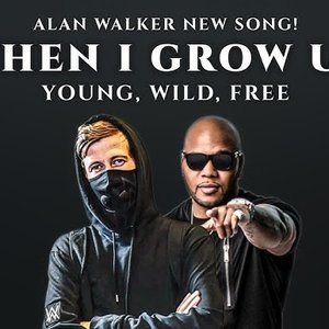 Avatar de Alan Walker, Flo Rida