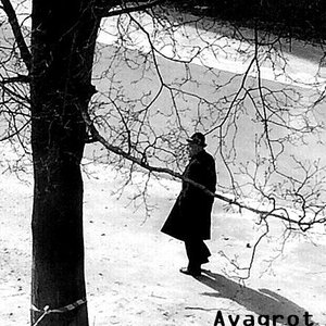avagrot 的头像