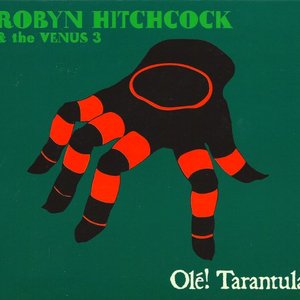 Olé! Tarantula