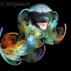 Le Honeybadger 的头像