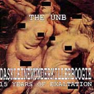 Daskleinewunderkillerboogie - 15 years of exaltation