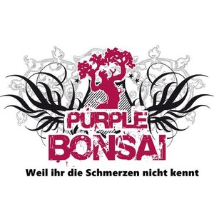 Weil ihr die Schmerzen nicht kennt