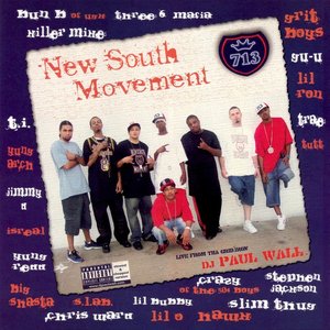 New South Movement (713)