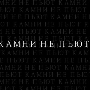 Avatar for Камни Не Пьют