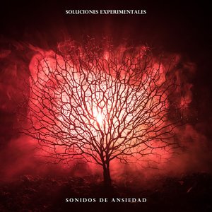 Soluciones Experimentales: Sonidos de Ansiedad