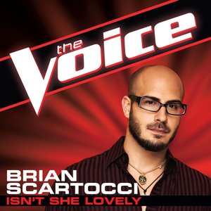 Isn't She Lovely (The Voice Performance) - Single