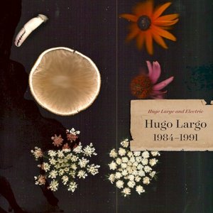 Huge Large and Electric: Hugo Largo 1984-1991