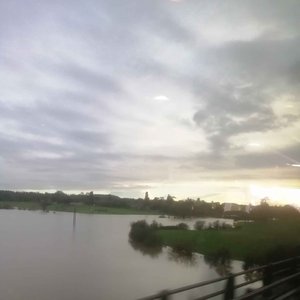 exporting beachfront florale