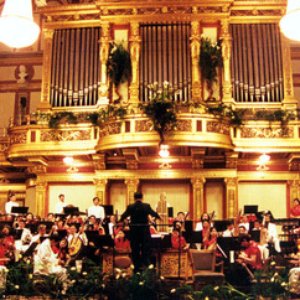 Avatar for Shanghai Traditional Chinese Orchestra