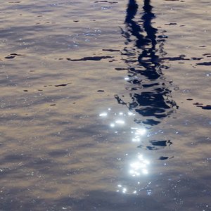 Turn Into Water - Single