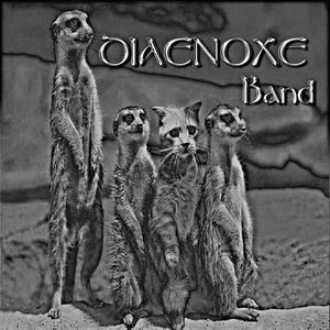 Diaenoxe Band 的头像