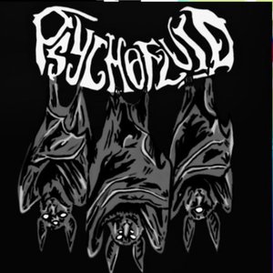 Psychofluid 的头像