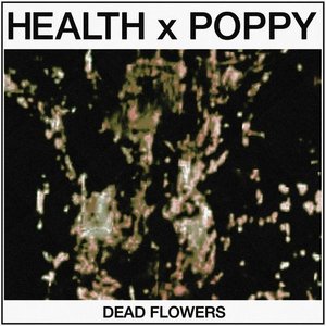 Avatar de HEALTH x Poppy