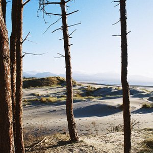 Primordial Slot Machine