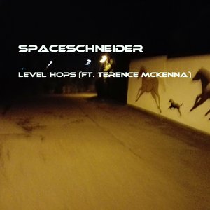 spaceschneider, Terence McKenna のアバター