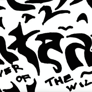 Power Of The Will
