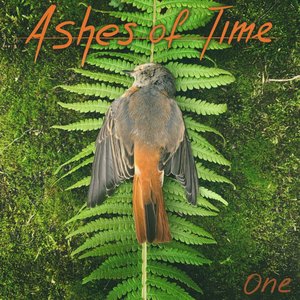 Avatar for Ashes of Time