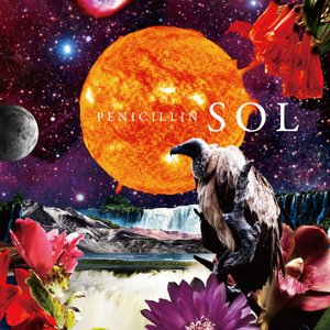 SOL Type-C - Single
