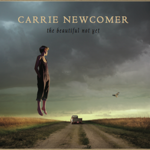 Carrie Newcomer - The Beautiful Not Yet - Zortam Music