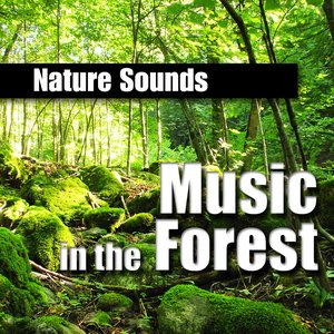 Music in the Forest (Music and Nature Sound)