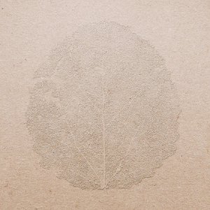 songs for forgetting