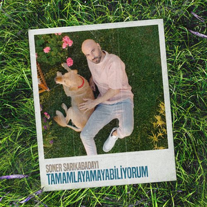 Artwork for Tamamlayamayabiliyorum