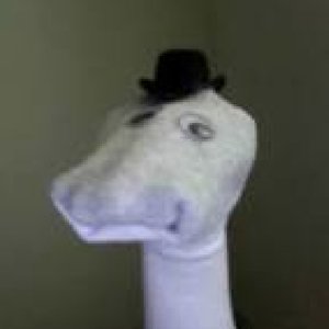 Avatar for Stewart the Sock