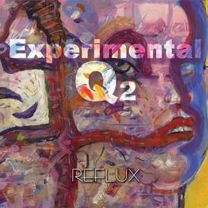 “Experimental Q2”的封面