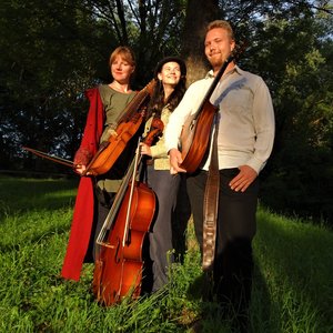 Sväng - Scandinavian Folk Trio 的头像
