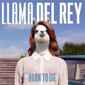 Born to Die