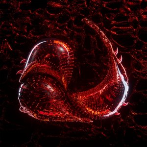 The Gomboc Hell [Explicit]