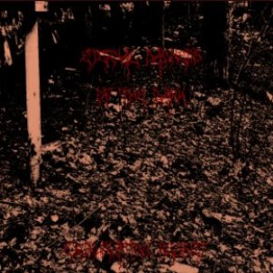 Excruciating Regret - Single