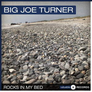 Rocks in My Bed cover