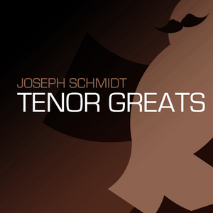 Joseph Schmidt - Ein Stern F�llt Vom Himmel - Zortam Music