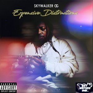 EXPENSIVE DISTRACTIONS