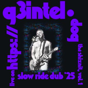 THA SHIZNIT, VOL. 1: SLOW RIDE DUB '25