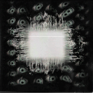 Album Art for Eulogy